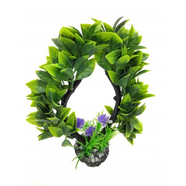 ΔΙΑΚΟΣΜΗΤΙΚΟ ΦΥΤΟ ΕΝΥΔΡΕΙΟΥ